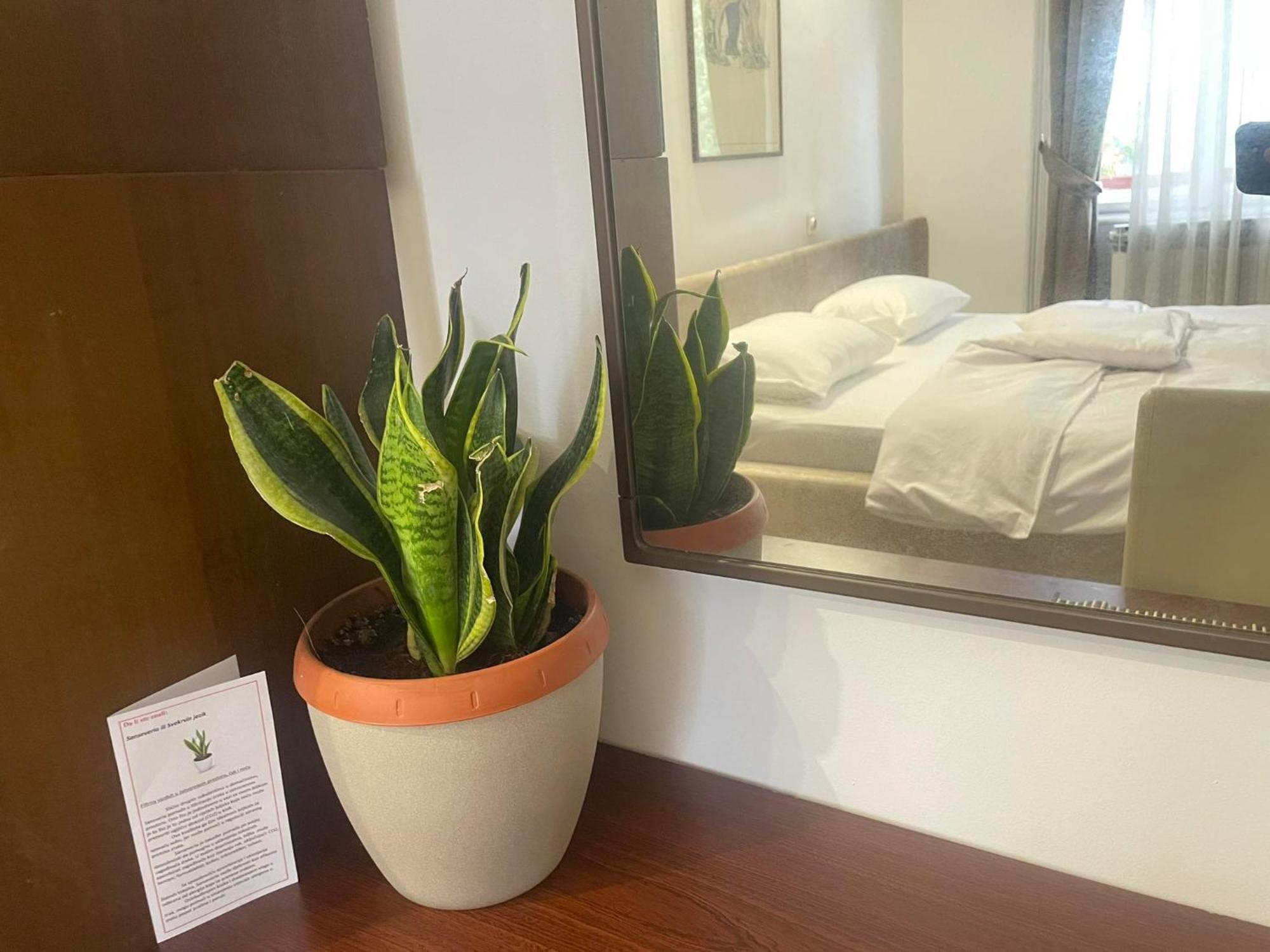 Apartment Romana Saraybosna Dış mekan fotoğraf